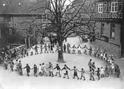 Freiheitslinde
